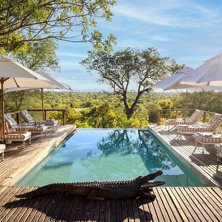 Simbavati Hilltop Lodge Timbavati Game Reserve Ngoại thất bức ảnh