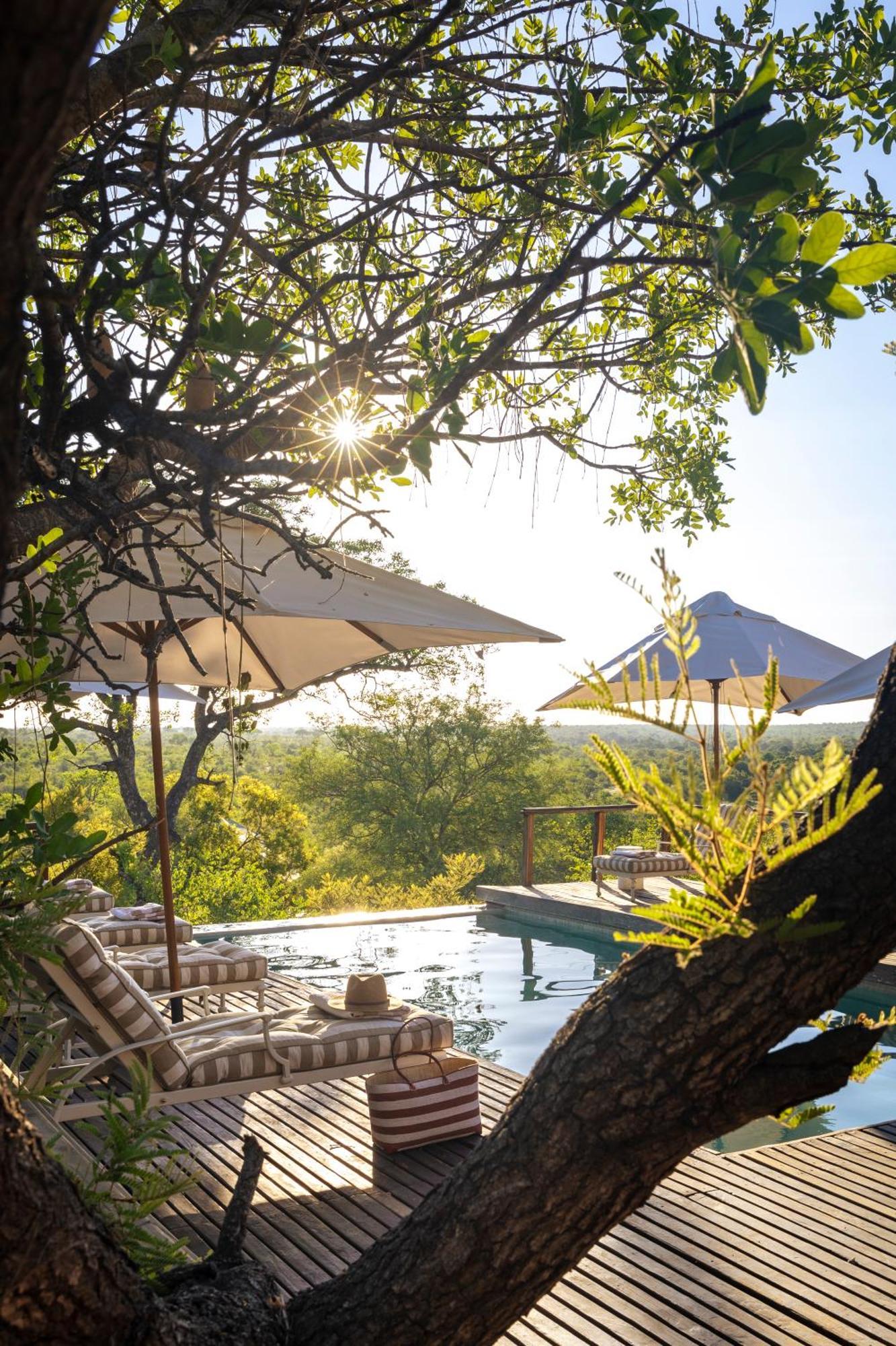 Simbavati Hilltop Lodge Timbavati Game Reserve Ngoại thất bức ảnh