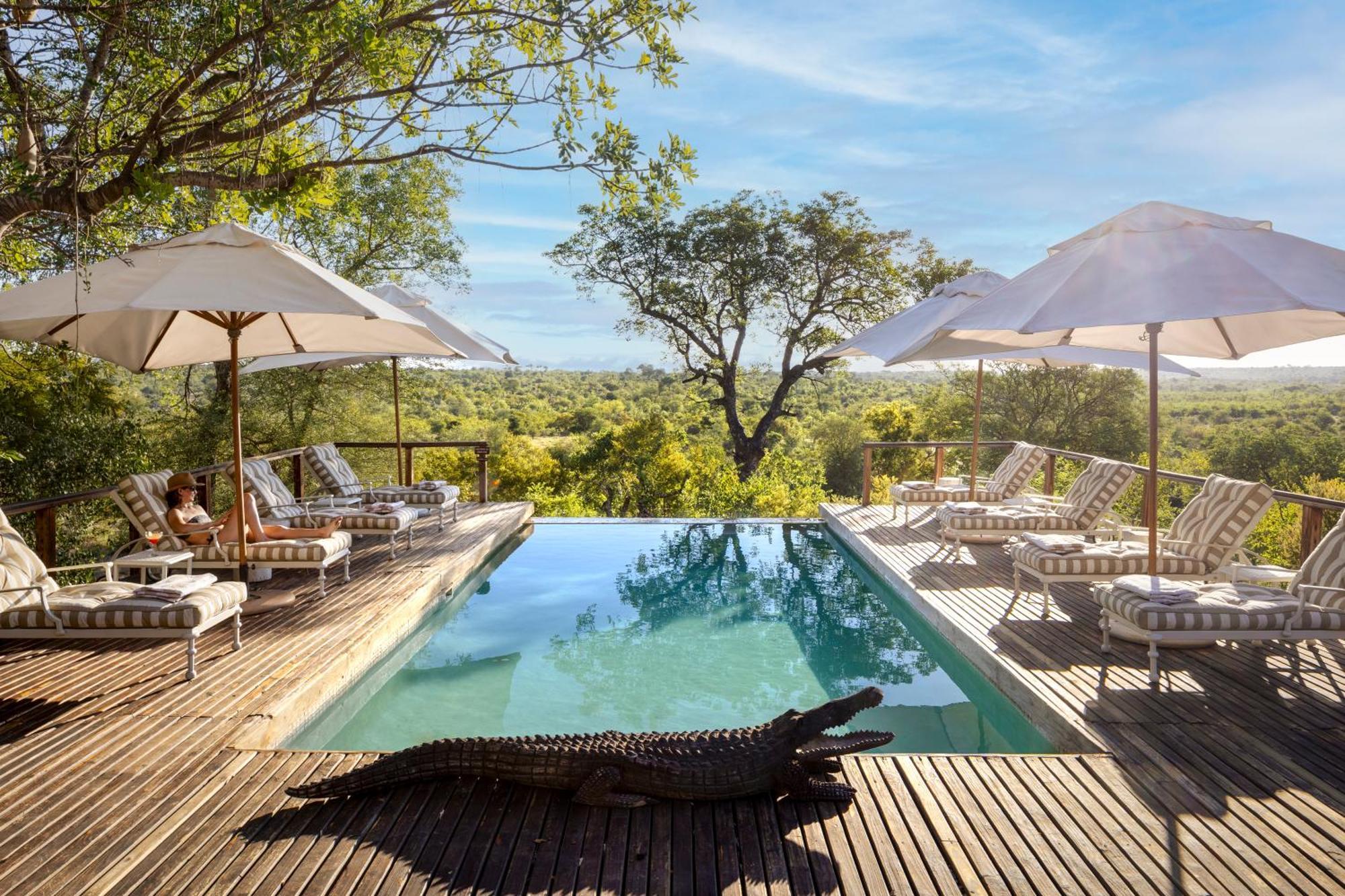 Simbavati Hilltop Lodge Timbavati Game Reserve Ngoại thất bức ảnh
