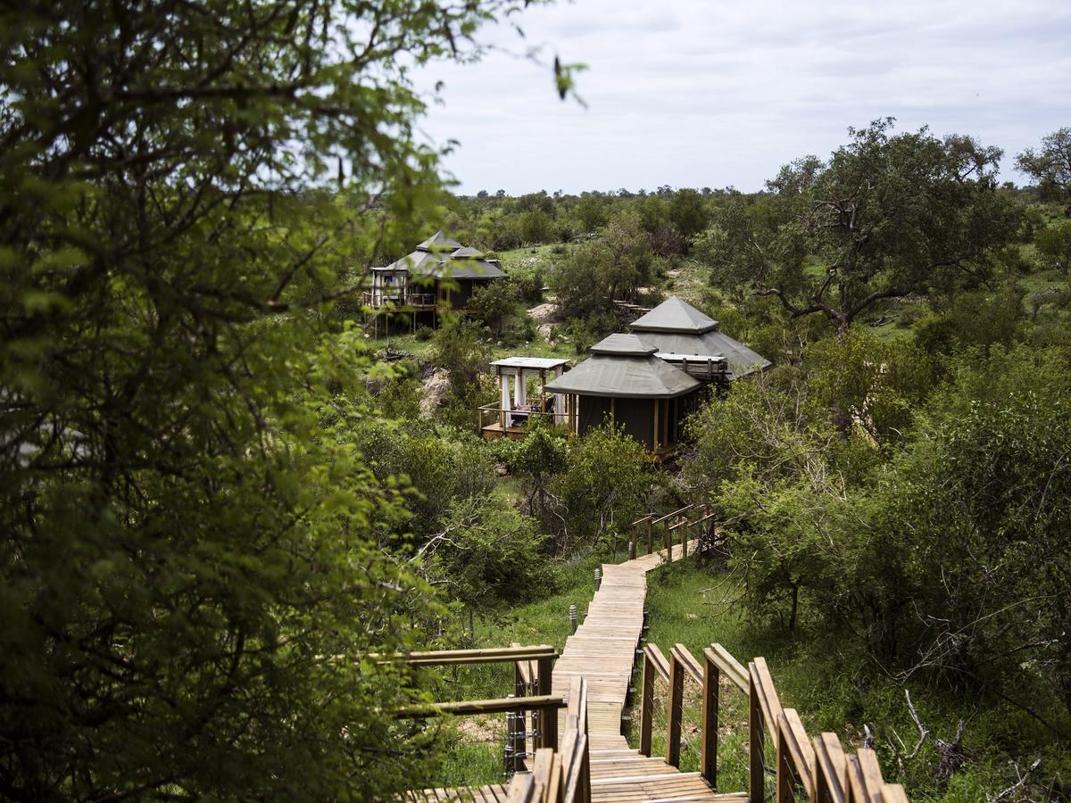 Simbavati Hilltop Lodge Timbavati Game Reserve Ngoại thất bức ảnh