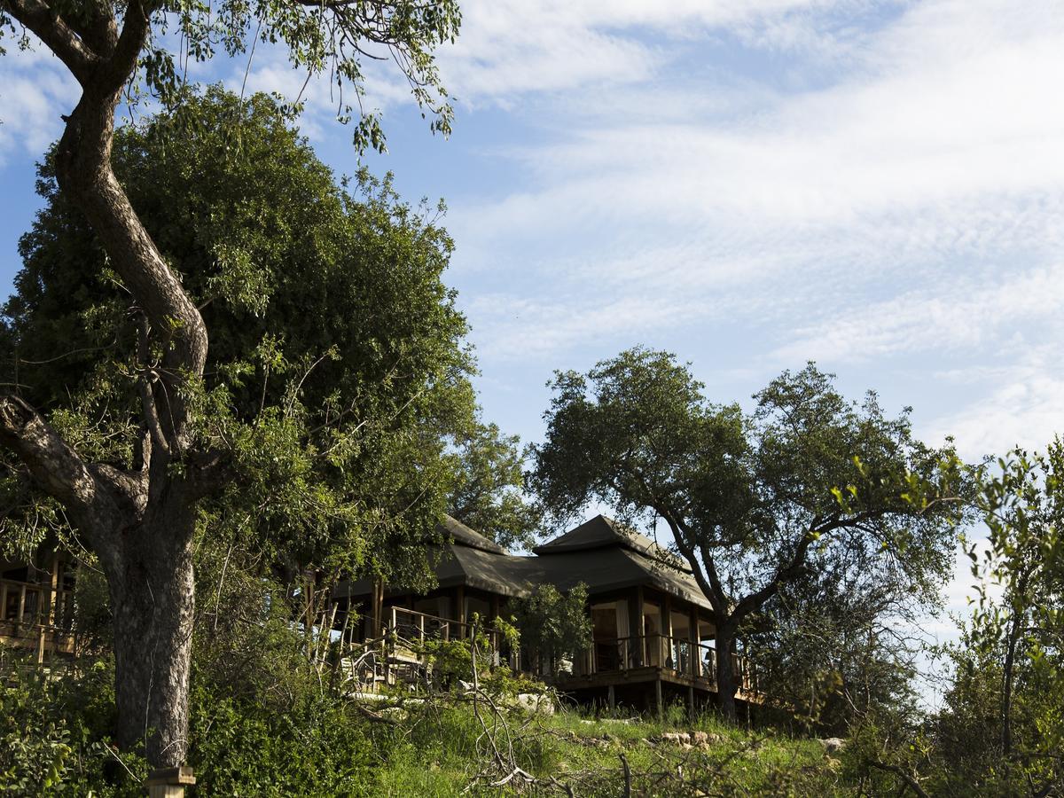 Simbavati Hilltop Lodge Timbavati Game Reserve Ngoại thất bức ảnh