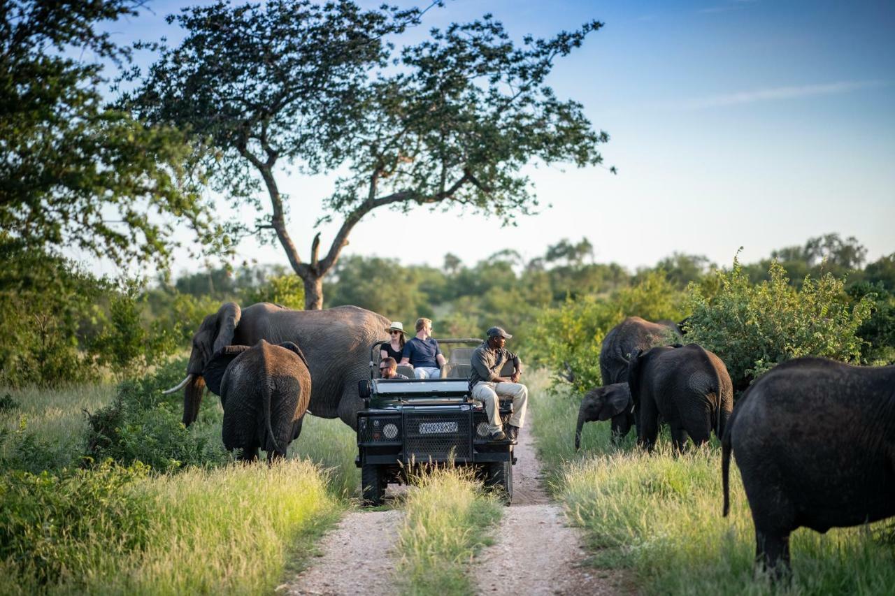 Simbavati Hilltop Lodge Timbavati Game Reserve Ngoại thất bức ảnh