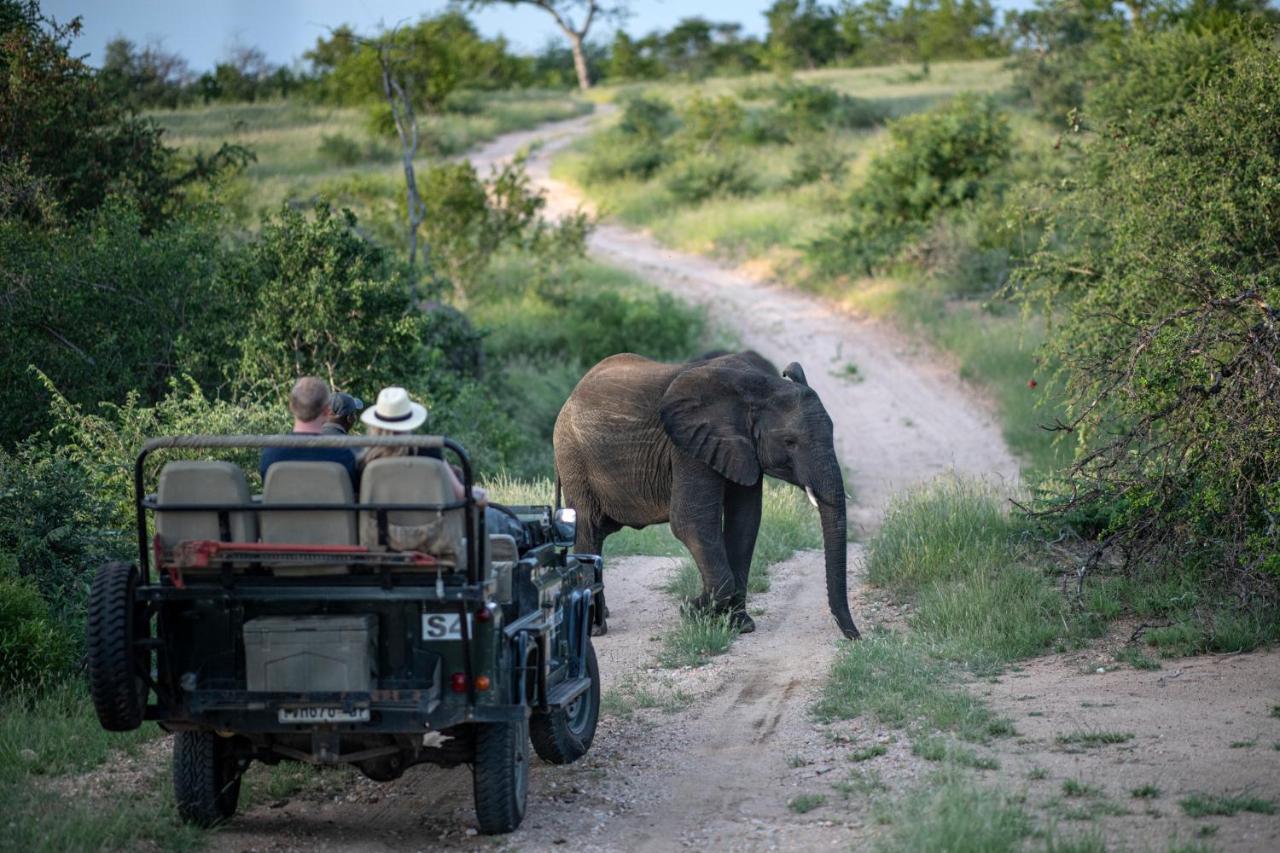 Simbavati Hilltop Lodge Timbavati Game Reserve Ngoại thất bức ảnh